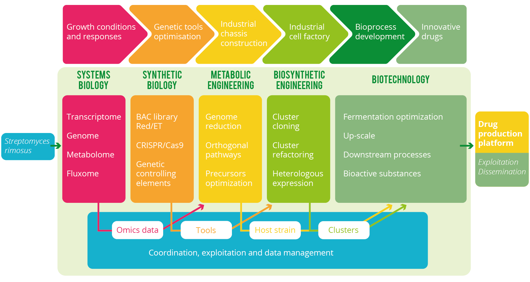 MISSION Research Graphic